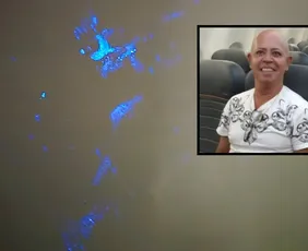 Imagem ilustrativa da imagem Perícia acha vestígios de sangue em apartamento onde idoso foi assassinado