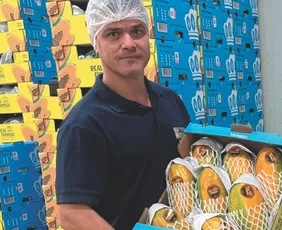 Imagem ilustrativa da imagem Produção de frutas cresce 871%, com perspectiva de melhor qualidade e quantidade