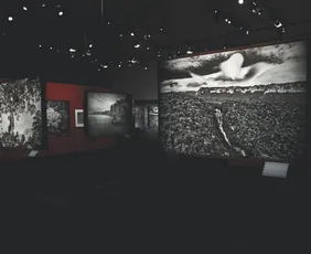 Imagem ilustrativa da imagem Seu programa: 27 mil pessoas já visitaram exposição do Cais das Artes