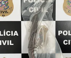 Imagem ilustrativa da imagem Suspeito de tentar matar mulher e crianças é preso em Santa Teresa