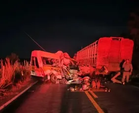 Imagem ilustrativa da imagem Acidente entre van escolar e caminhão deixa 5 mortos em Goiás