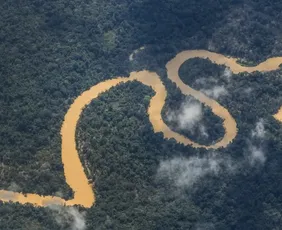 Imagem ilustrativa da imagem Amazônia tem menor índice de desmatamento para o 1º semestre em uma década