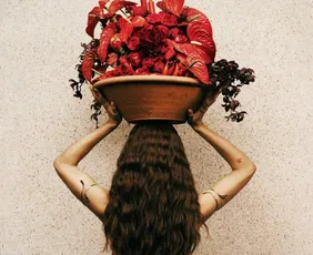 Imagem ilustrativa da imagem Anitta revela capa de seu novo álbum, 'Equilibrium 2'
