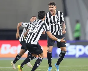 Imagem ilustrativa da imagem Botafogo aproveita trapalhada nos acréscimos e vence Santos em jogo agitado