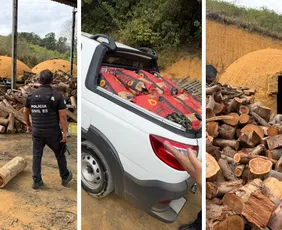 Imagem ilustrativa da imagem Carvoaria irregular é alvo de operação da Polícia Civil em Cariacica