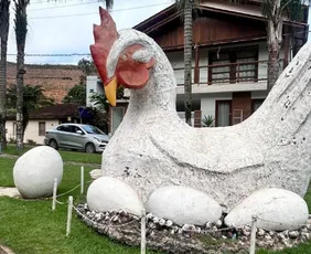Imagem ilustrativa da imagem Casa na árvore, mirante e suíte em forma de garrafão. Veja onde se hospedar