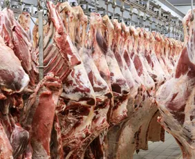 Imagem ilustrativa da imagem China suspende três frigoríficos brasileiros após irregularidades