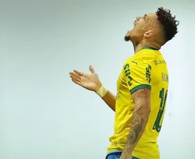 Imagem ilustrativa da imagem Em final maluco, Palmeiras bate Chape com um a menos e mantém Flamengo longe