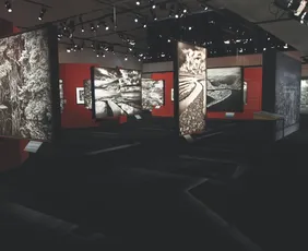 Imagem ilustrativa da imagem Exposição de Sebastião Salgado no Cais das Artes vai até dia 5