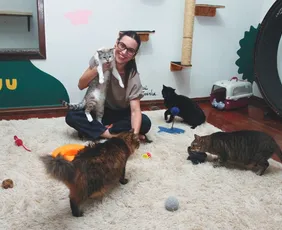Imagem ilustrativa da imagem Famílias do ES já têm mais de 1,8 milhão de cães e gatos