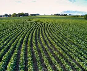 Imagem ilustrativa da imagem Força do campo: agro tem mais de 273 mil empregados no ES