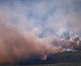 Imagem ilustrativa da imagem Homem é preso por iniciar 'pior incêndio da história' na região de Madri