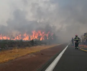 Imagem ilustrativa da imagem Incêndios na Europa obrigam mais de 300 mil pessoas a deixarem suas casas