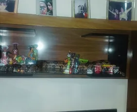Imagem ilustrativa da imagem Jiboia é resgatada em estante da sala de uma casa em Vila Velha