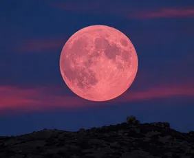Imagem ilustrativa da imagem Lua de Morango: fenômeno poderá ser visto nesta segunda