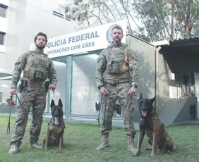 Imagem ilustrativa da imagem Nova geração de cães para ajudar a polícia do ES a combater o crime