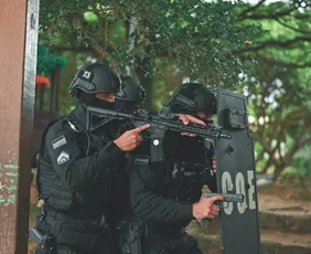 Imagem ilustrativa da imagem PM cria tropa de elite para combater o crime organizado