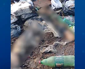 Imagem ilustrativa da imagem Pernas humanas são encontradas dentro de sacola em canal de Vila Velha