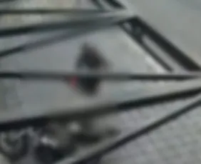 Imagem ilustrativa da imagem Policial atira contra dois homens em falso assalto na zona leste de SP
