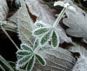 Imagem ilustrativa da imagem Potente massa de ar frio pode trazer neve a dois estados do Brasil. Veja quais