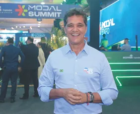 Imagem ilustrativa da imagem Retirada de vegetação da área da GWM já começou