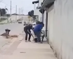 Imagem ilustrativa da imagem VÍDEO | Criança de oito anos é atacada por pitbulls após tentar salvar coelho