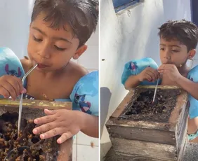 Imagem ilustrativa da imagem VÍDEO: Menino de Anchieta viraliza com estilo "raíz" de beber mel