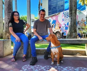 Imagem ilustrativa da imagem Vacina e castração de graça para pets em Vila Velha