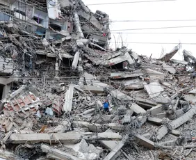 Imagem ilustrativa da imagem Venezuela: número de desaparecidos em terremoto pode passar de 40 mil