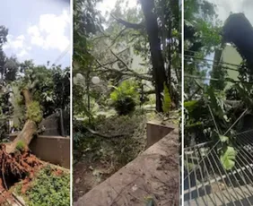 Imagem ilustrativa da imagem Ventania deixa 10 feridos em São Paulo; no Rio, mais de 400 mil seguem sem energia