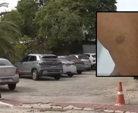 Imagem ilustrativa da imagem Vigilante é preso suspeito de agredir mulher com barra de ferro em estacionamento