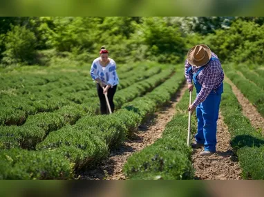 Professores, Ana Neide e Edson deixaram a sala de aula e hoje se dedicam à agroindústria familiar