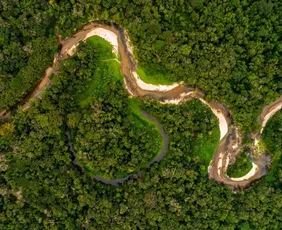 Imagem ilustrativa da imagem Alertas de desmatamento na amazônia caem ao menor patamar da série histórica