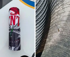 Imagem ilustrativa da imagem Artefato explosivo é destruído pelo Esquadrão Antibombas em Muniz Freire