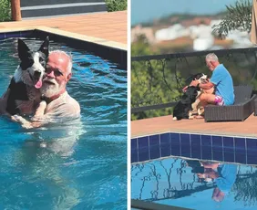 Imagem ilustrativa da imagem Cachorro ajuda a salvar o tutor durante infarto