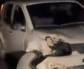 Imagem ilustrativa da imagem Carro atropela capivara e bate em árvore em rodovia no Sul do ES