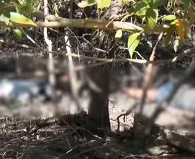 Imagem ilustrativa da imagem Casal é encontrado morto em área de manguezal em Cariacica