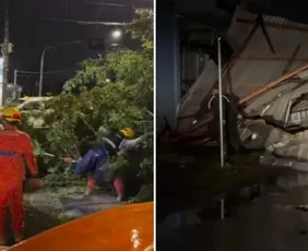 Imagem ilustrativa da imagem Ciclone causa estragos no Sul, suspende aulas e coloca Sudeste em alerta