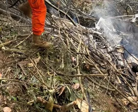 Imagem ilustrativa da imagem Colombianas que morreram na queda de helicóptero no RJ eram avó, mãe e filha