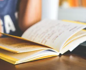 Imagem ilustrativa da imagem Conselho Nacional de Educação proíbe uso autônomo de IA por alunos até o 5º ano