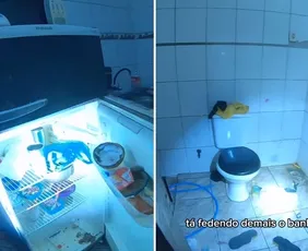Imagem ilustrativa da imagem Crianças são resgatadas de casa usada para tráfico de drogas em Vila Velha