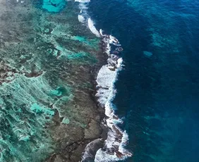 Imagem ilustrativa da imagem Dia mais quente da história dos oceanos é registrado com El Niño recorde