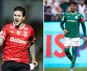 Imagem ilustrativa da imagem Flamengo e Palmeiras são favoritos ao título no Brasileirão; veja probabilidades