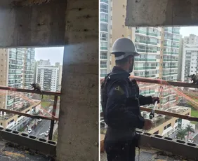 Imagem ilustrativa da imagem Gambá é resgatado no 8º andar de um prédio em construção em Itaparica