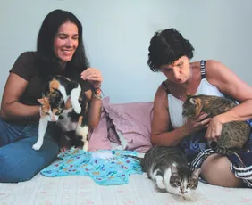 Imagem ilustrativa da imagem Hospital veterinário público no ES vai ter até dermatologista