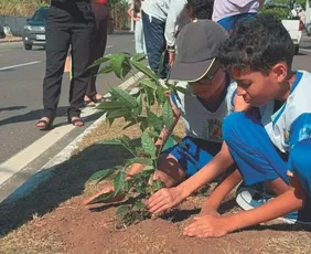 Imagem ilustrativa da imagem Mais 100 árvores são plantadas nas ruas de Guarapari para enfrentar o calor