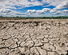Imagem ilustrativa da imagem Períodos de seca vão ficar mais longos no Sudeste até o final do século, diz estudo