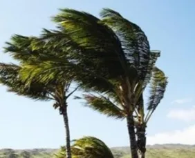 Imagem ilustrativa da imagem Ventos costeiros colocam cidades do litoral do ES em alerta