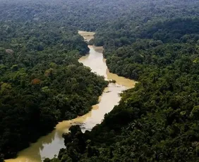 Imagem ilustrativa da imagem Amazônia e cerrado têm menor desmatamento já registrado
