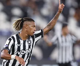 Imagem ilustrativa da imagem Botafogo quebra o jejum e vence o Grêmio em jogo atrasado do Brasileirão